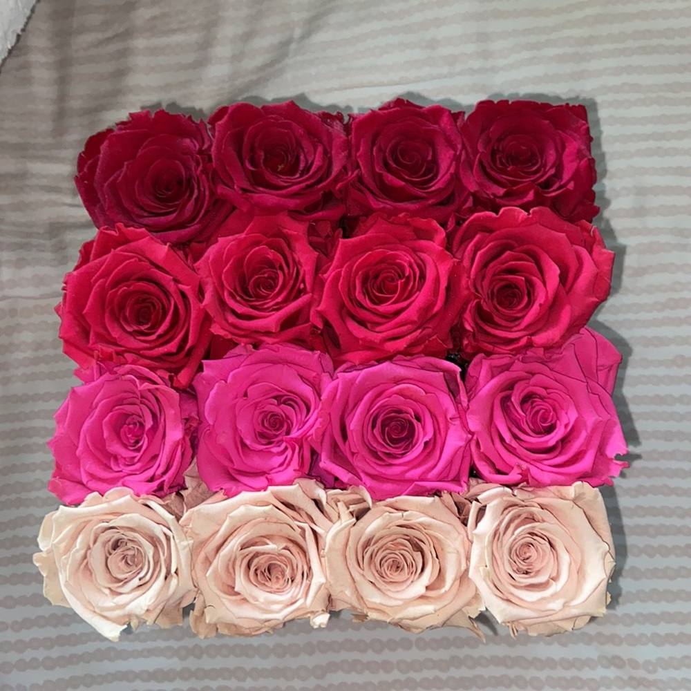 NEW FOREVER ROSES